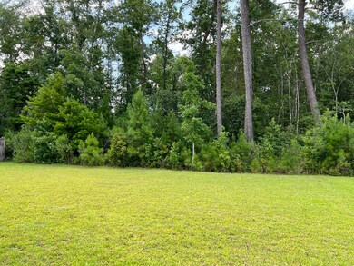 9737 Flooded Field Dr, Ladson, SC 29456 - photo 3