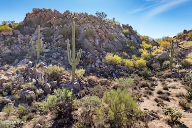 867 W Granite Gorge Dr unit 327, Oro Valley, AZ 85755 - photo 7