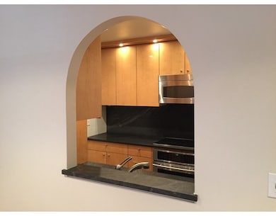 20 E Springfield St unit 2, Boston, MA 02118 - photo 4