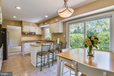 13124 Mercury Ln, Fairfax, VA 22033 - photo 6