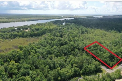 135 Water Oaks Way, Apalachicola, FL 32320 - photo 3