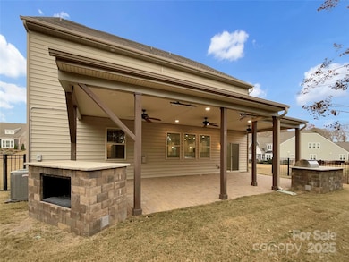 2009 Trindle Vine Ln, Waxhaw, NC 28173 - photo 5