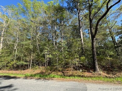 2.67 AC Godfrey Bay Rd, Cobbs Creek, VA 23035 - photo 5