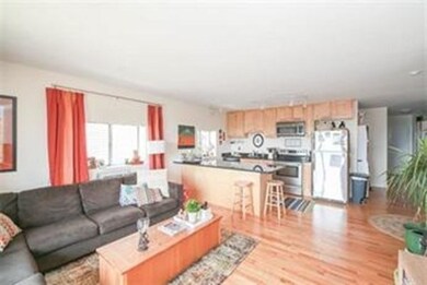 386 E 8th St unit 5, Boston, MA 02127 - photo 5