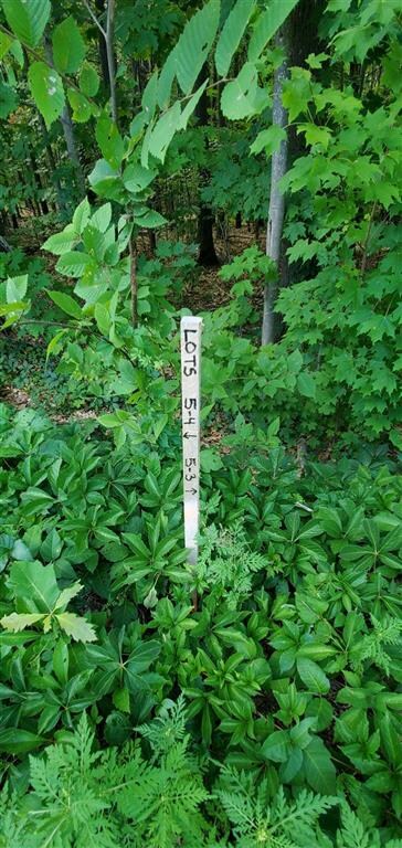 5 Tebbetts Rd, Rochester, NH 03867 - photo 7