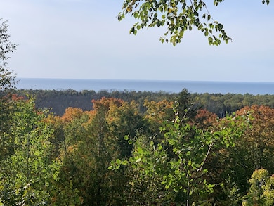 Lot 21 Daisy Patch Rd, Gibraltar, WI 54212 - photo 5