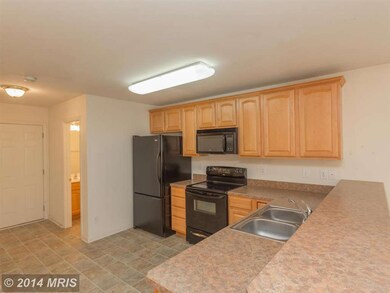 35117 Saba Place, Locust Grove, VA 22508 - photo 5