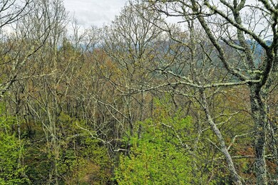 Drone photo estimate 