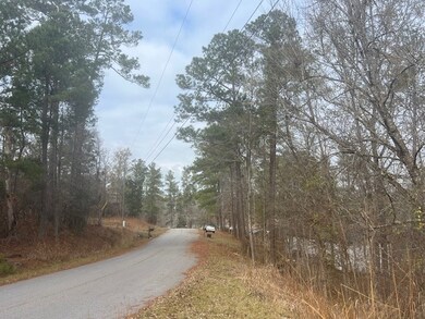 0000 Sunshine Dr, Sparta, GA 31087 - photo 4