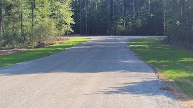 Lt9 Radar Rd, Peshtigo, WI 54143 - photo 3