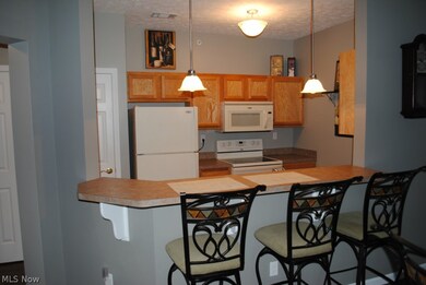 602 Aqua Marine Blvd unit 2, Avon Lake, OH 44012 - photo 7