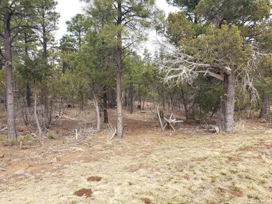 4281 W Falling Leaf Road #318