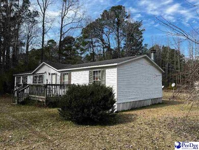 433 E 7 Mile Rd, Pamplico, SC 29583 - photo 2