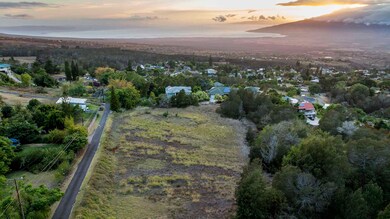 90 Alanuilili Place, Kula, HI 96790 - photo 6