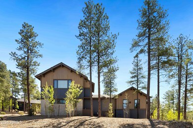 Pinyon Jay-6