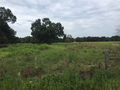 View from Rear of property bordering Albritton Roa