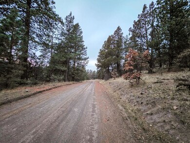 0 Log House Rd, MacDoel, CA 96058 - photo 4