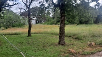 0 Lovers Ln, Lake Brownwood, TX 76801 - photo 2