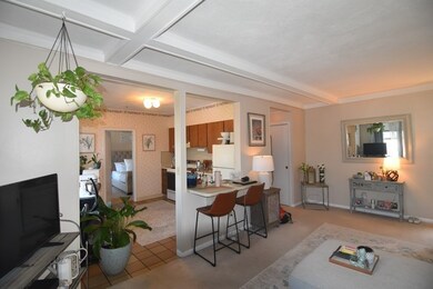 Sutherland Village unit 9, Brighton, MA 02135 - photo 3