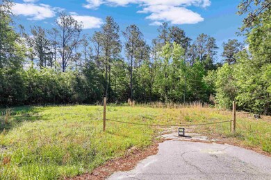 4614 Highway 905, Conway, SC 29526 - photo 2