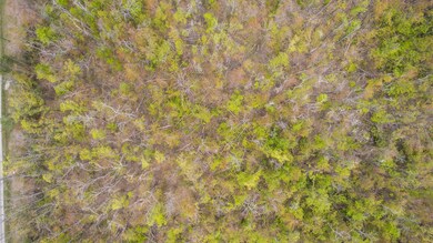 8-web-or-mls-DJI_0021