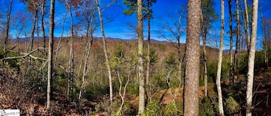 1 Sweet Fern Way, Marietta, SC 29661 - photo 2