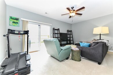 Lower Level den
