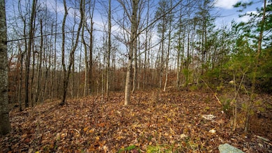 435 Bruemmer Rd, Monroe Township, OH 45144 - photo 7