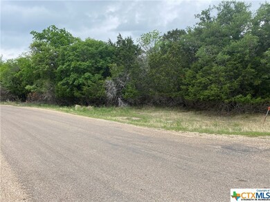 15886 Salado Dr, Temple, TX 76502 - photo 3