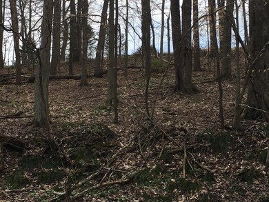 668 Natchez Ln, Sugar Grove, OH 43155 - photo 4