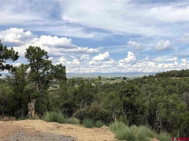 10350 Road 21 9, Cortez, CO 81321 - photo 7