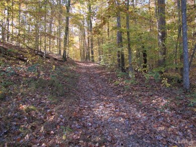 178 Stoneybrook Rd, Burnside, KY 42519 - photo 5