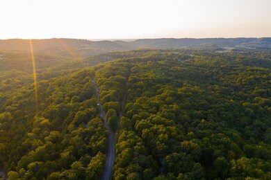 08-23020 Jared -Forsyth DJI_0291