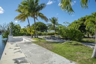 0 Lookdown Ln, Cudjoe Key, FL 33042 - photo 6