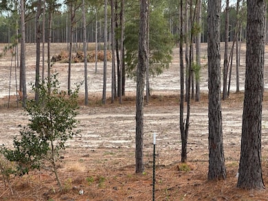 0/Lot6 Cooks Bridge Rd, Aiken, SC 29805 - photo 3