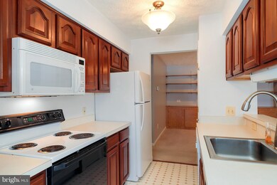 2406 Forest Edge Ct unit 203, Odenton, MD 21113 - photo 7