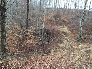 13001 Highway 192, Somerset, KY 42501 - photo 7