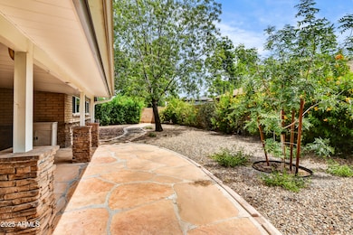 Backyard 1
