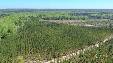 0 Old Cc Rd, Cassatt, SC 29032 - photo 7