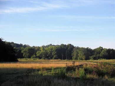 29247 Hide Away Hills Rd, Logan, OH 43138 - photo 5