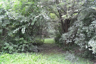 18220 Stewart Ave, Homewood, IL 60430 - photo 5