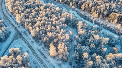 49246 S Hunter Dr, Willow, AK 99688 - photo 4