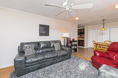 1019 Halsey Ln, Richmond, VA 23225 - photo 6