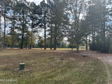 119 Oak Allee Dr, Picayune, MS 39466 - photo 4