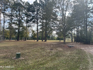 Nhn Oak Allee Dr, Picayune, MS 39466 - photo 2