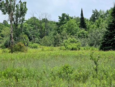 OPEN MEADOW
