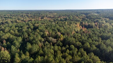 DJI_0961-HDR