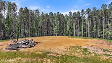 005 Pilgrim Rest Dr, Brandon, MS 39042 - photo 5