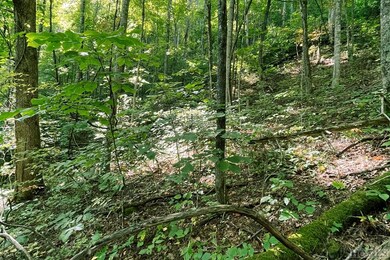 16 & 17 Cullowhee Forest Rd, Cullowhee, NC 28723 - photo 6