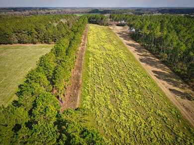 3375 Five Forks Rd, Boston, GA 31626 - photo 6